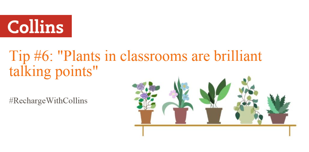 plants in the classroom - tip #6